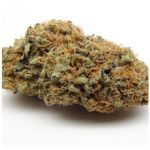 Шишки AK47 (Гидропоника, Бошка) VHQ в Ейске Шишки AK47 (Гидропоника, Бошка) VHQ в Ейске