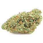 Шишки OG Kush (Гидропоника, бошки) VHQ в Ейске Шишки OG Kush (Гидропоника, бошки) VHQ в Ейске